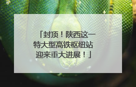 封顶！陕西这一特大型高铁枢纽站迎来重大进展！