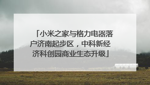 小米之家与格力电器落户济南起步区，中科新经济科创园商业生态升级