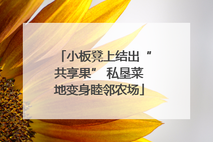 小板凳上结出“共享果” 私垦菜地变身睦邻农场