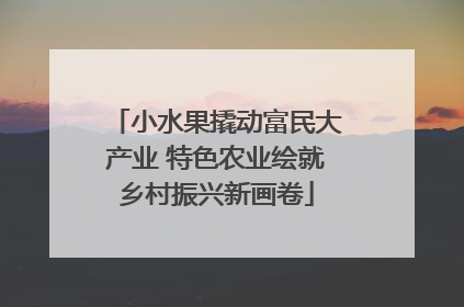 小水果撬动富民大产业 特色农业绘就乡村振兴新画卷