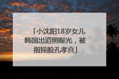 小沈阳18岁女儿韩国出道照曝光，被指撞脸孔孝真