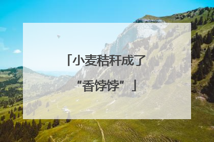 小麦秸秆成了“香饽饽”