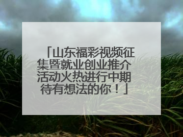 山东福彩视频征集暨就业创业推介活动火热进行中期待有想法的你！