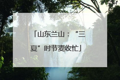 山东兰山：“三夏”时节麦收忙