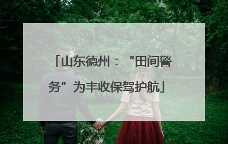 山东德州：“田间警务”为丰收保驾护航