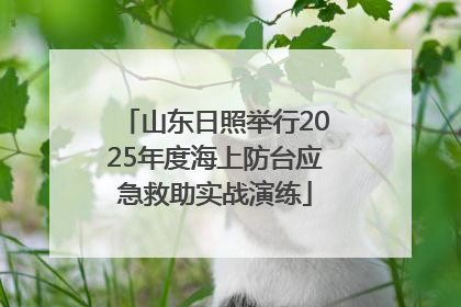 山东日照举行2025年度海上防台应急救助实战演练