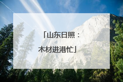 山东日照：木材进港忙