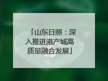 山东日照：深入推进港产城高质量融合发展