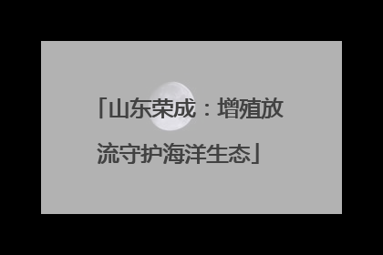 山东荣成：增殖放流守护海洋生态
