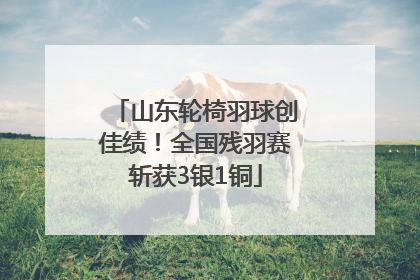 山东轮椅羽球创佳绩！全国残羽赛斩获3银1铜