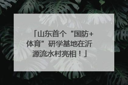 山东首个“国防+体育”研学基地在沂源流水村亮相！
