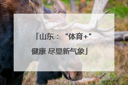 山东：“体育+”健康 尽显新气象