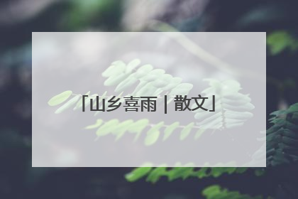 山乡喜雨｜散文