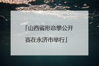 山西省形意拳公开赛在永济市举行