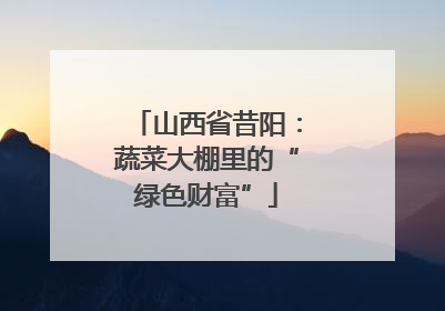 山西省昔阳：蔬菜大棚里的“绿色财富”