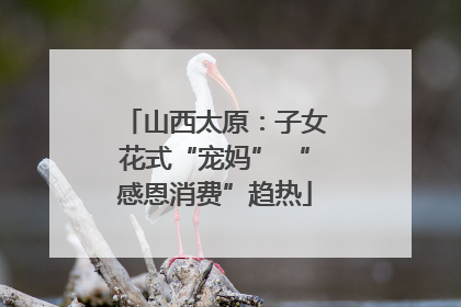 山西太原：子女花式“宠妈” “感恩消费”趋热