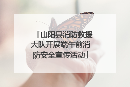 山阳县消防救援大队开展端午前消防安全宣传活动