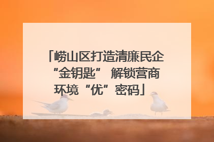 崂山区打造清廉民企“金钥匙” 解锁营商环境“优”密码