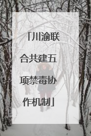 川渝联合共建五项禁毒协作机制