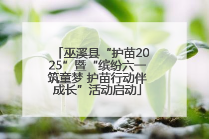 巫溪县“护苗2025”暨“缤纷六一筑童梦 护苗行动伴成长”活动启动