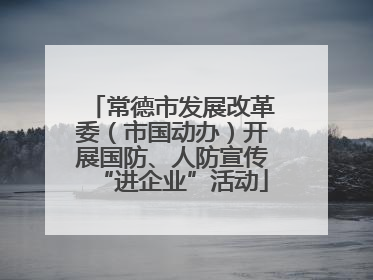 常德市发展改革委（市国动办）开展国防、人防宣传“进企业”活动