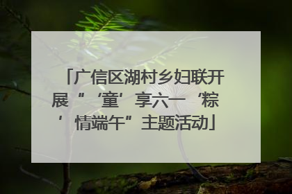 广信区湖村乡妇联开展“‘童’享六一‘粽’情端午”主题活动