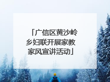 广信区黄沙岭乡妇联开展家教家风宣讲活动