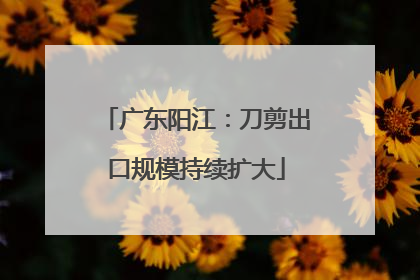 广东阳江：刀剪出口规模持续扩大