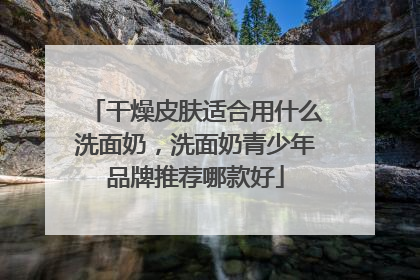 干燥皮肤适合用什么洗面奶，洗面奶青少年品牌推荐哪款好