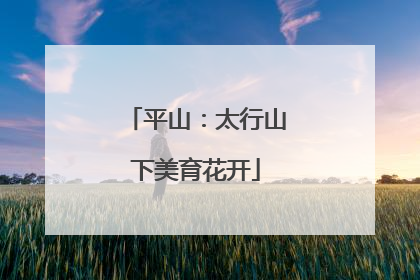 平山：太行山下美育花开
