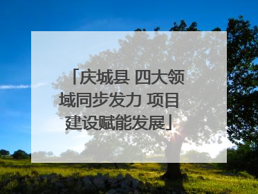 庆城县 四大领域同步发力 项目建设赋能发展