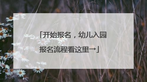 开始报名，幼儿入园报名流程看这里→
