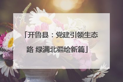 开鲁县：党建引领生态路 绿满北疆绘新篇