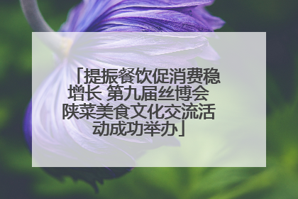 提振餐饮促消费稳增长 第九届丝博会陕菜美食文化交流活动成功举办