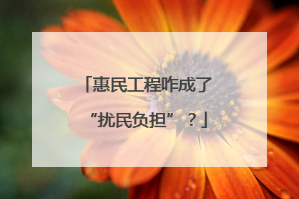 惠民工程咋成了“扰民负担”？