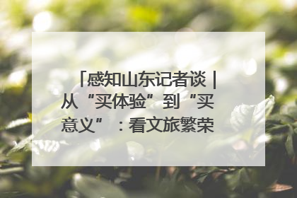 感知山东记者谈｜从“买体验”到“买意义”：看文旅繁荣背后的幸福新定义