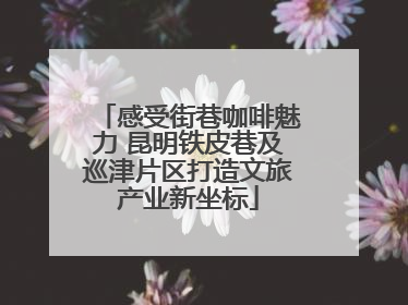 感受街巷咖啡魅力 昆明铁皮巷及巡津片区打造文旅产业新坐标