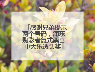 感谢兄弟提示两个号码，浦东购彩者复式票喜中大乐透头奖
