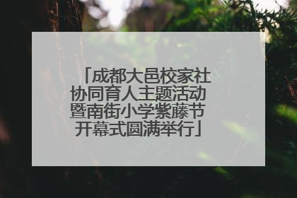 成都大邑校家社协同育人主题活动暨南街小学紫藤节开幕式圆满举行