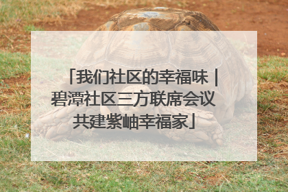 我们社区的幸福味｜碧潭社区三方联席会议共建紫岫幸福家
