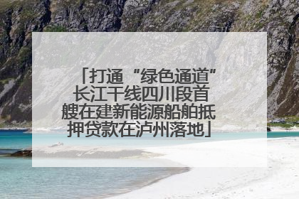 打通“绿色通道” 长江干线四川段首艘在建新能源船舶抵押贷款在泸州落地