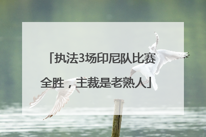执法3场印尼队比赛全胜，主裁是老熟人