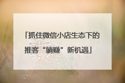 抓住微信小店生态下的推客“躺赚”新机遇