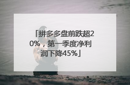 拼多多盘前跌超20%，第一季度净利润下降45%