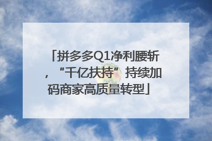 拼多多Q1净利腰斩，“千亿扶持”持续加码商家高质量转型