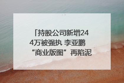 持股公司新增244万被强执 李亚鹏“商业版图”再陷泥潭？｜科技观察