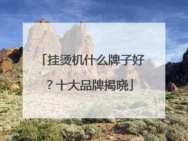 挂烫机什么牌子好？十大品牌揭晓