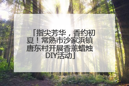指尖芳华，香约初夏！常熟市沙家浜镇唐东村开展香薰蜡烛DIY活动