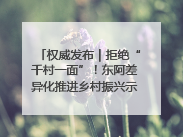 权威发布｜拒绝“千村一面”！东阿差异化推进乡村振兴示范片区建设