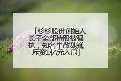 杉杉股份创始人长子全部持股被强执，知名牛散魏巍斥资1亿元入局